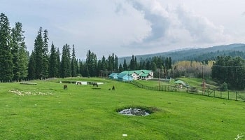 Srinagar Gulmarg Pahalgam –Cheapest Kashmir Trip 6 Days