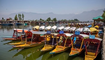 Trip To Kashmir With Family 5 Days