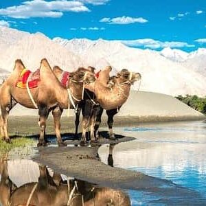 Explore Kashmir Ladakh 8 Days