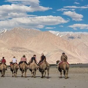 Srinagar Kargil Leh Nubra 8 Nights Trip