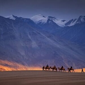 Nubra Valley Pangong Trutuk Budget Trip