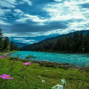Visit Kashmir Ladakh By Road 7 Days Tour