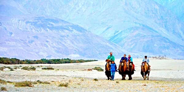  Nubra Valley Pangong Trutuk Budget Trip