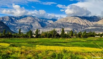 Amazing Leh Ladakh Tour 3 Night 4 Days