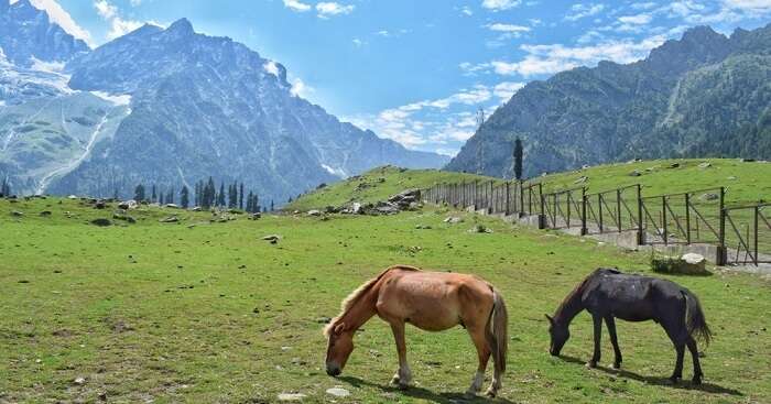 Sonmarg