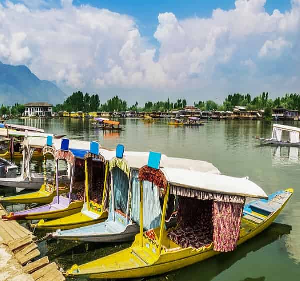 Srinagar Group Tour Packages