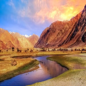 Explore Ladakh Ex From Srinagar 7 Days