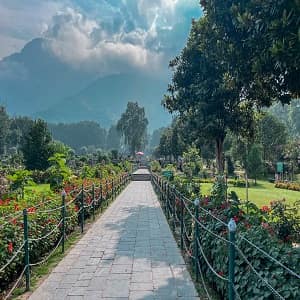 Explore Srinagar From Jammu 7 Days