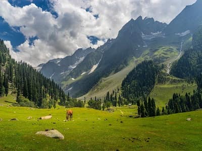 Summer Special 4 Night 5 Days- Cheap Kashmir Trip