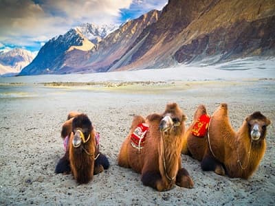 Land Of Lamas 7 Days – Cheapest Ladakh Package
