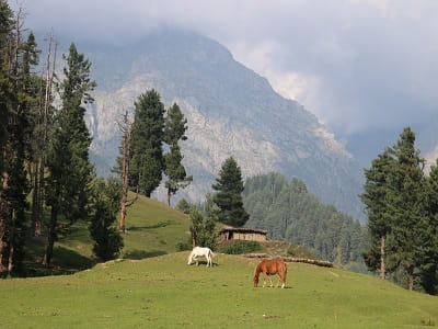 Gulmarg Pahalgam – 6 Days Cheapest Kashmir Trip