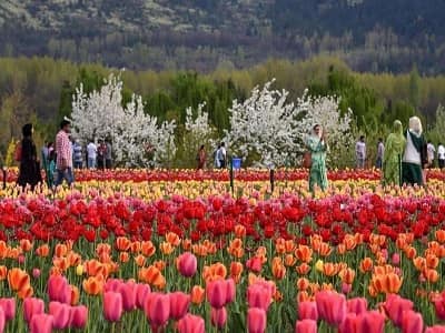 Visit The Heaven On Earth – 5 Days Kashmir Trip