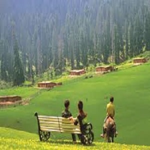 6 Night & 7 Days Cheap Srinagar Tour