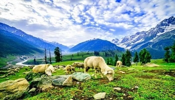 Cheapest Kashmir Valley Special Trip 5 Days