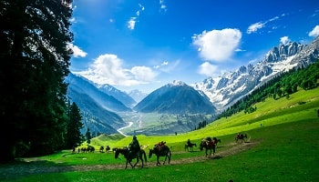 Kashmir Dakha Tour By Road 6 Days