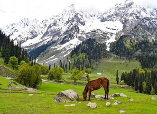 Kashmir Tour Packages From Chennai