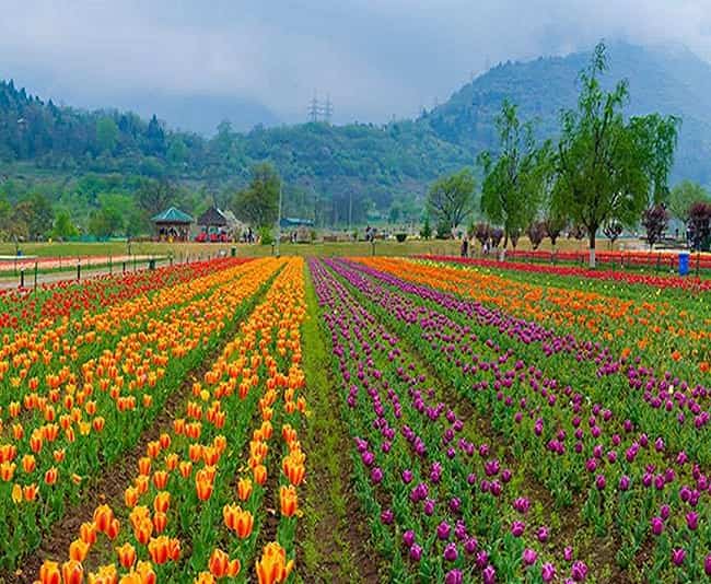 Kashmir honeymoon packages from Pune 