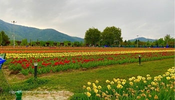 Kashmir Tour Packages