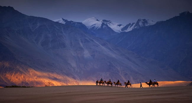 ladakh tour packages from delhi