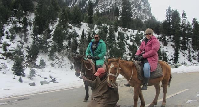 Pony Ride in Kashmir