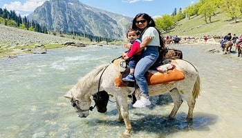 kashmir packages